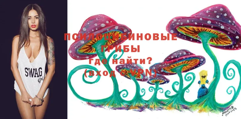 Псилоцибиновые грибы MAGIC MUSHROOMS  сколько стоит  Нижний Тагил 